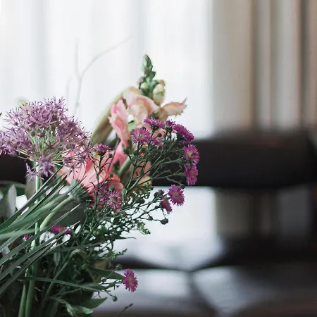 פארק נופש Marinapark