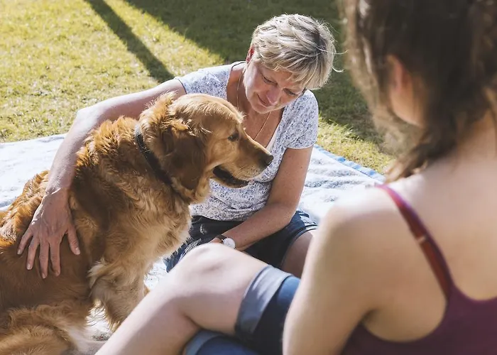 Vakantiedorp Marinapark Holiday park Middelkerke